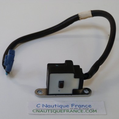 BF8 BF10 PULSOR 8 - 10 CV HONDA 30310-ZW9-003