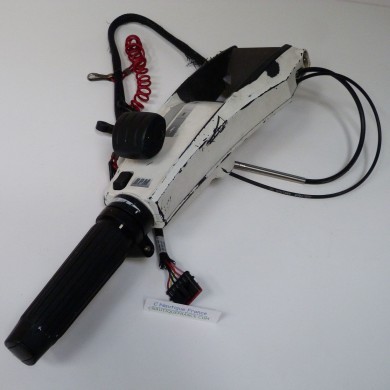 15 - 30 CV TELECOMANDO EVINRUDE E-TEC