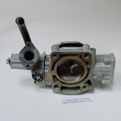 CULASSE 6 CV 4T SUZUKI DF6 91J1