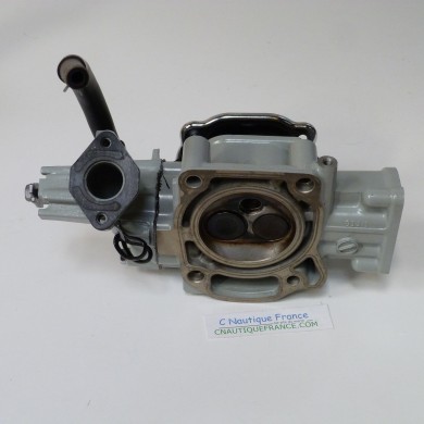 CULASSE 6 CV 4T SUZUKI DF6 91J1