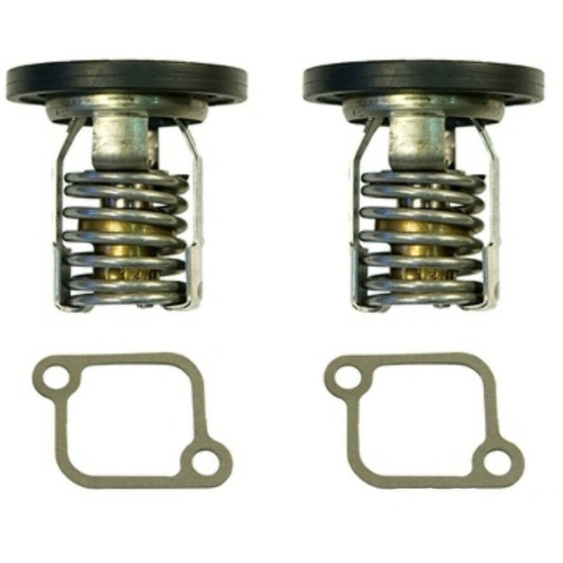 Termostato Generico per Motore Fuoribordo Mercury – Coppia