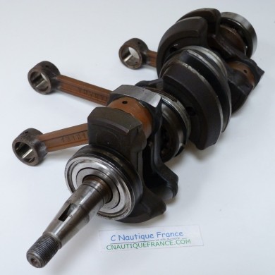 40 - 50 CV ALBERO MOTORE YAMAHA 6H4 40H