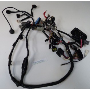 DF115 HARNESS 115 HP 4S SUZUKI 92J