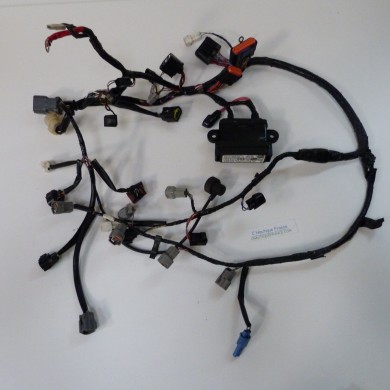 DF115 HARNESS 115 HP 4S SUZUKI 92J