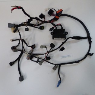DF115 HARNESS 115 HP 4S SUZUKI 92J