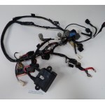 FAISCEAU ELECTRIQUE 115 CV SUZUKI 92J DF115