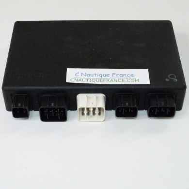 BOITIER ECM 50 CV 4T EVINRUDE JOHNSON SUZUKI DF50