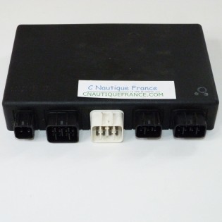 BOITIER ECM 50 CV 4T EVINRUDE JOHNSON SUZUKI DF50