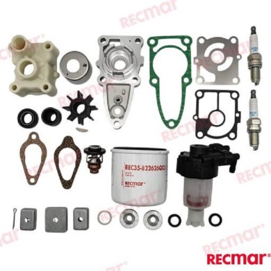 15 - 20 CV EFI KIT DI REVISIONE PER MERCURY