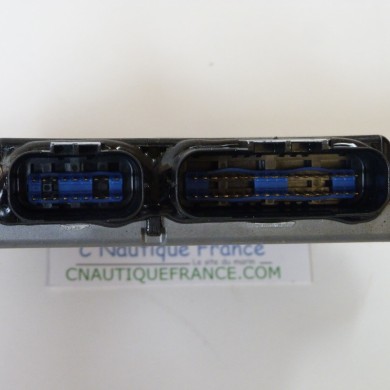 F60 ECU 60 CV 4T YAMAHA SELVA 6C5 F60CET