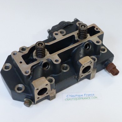 50 CV 2T TESTATA SELVA LPDFI BULL SHARK