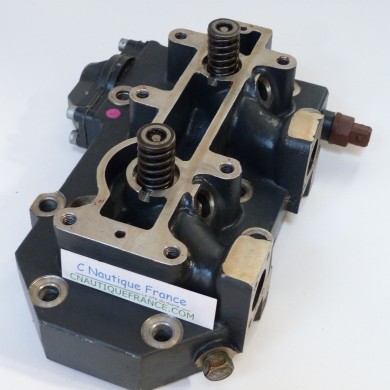 50 CV 2T TESTATA SELVA LPDFI BULL SHARK