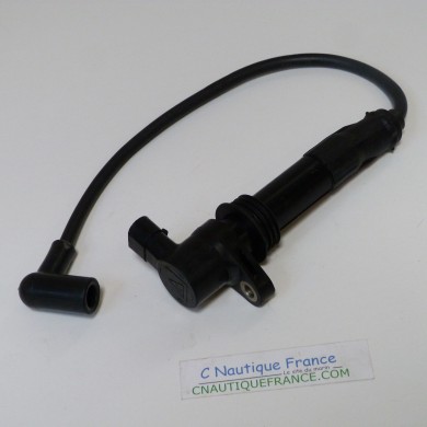 50 HP 2S IGNITION COIL SELVA BULL SHARK