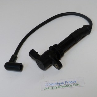 50 HP 2S IGNITION COIL SELVA BULL SHARK