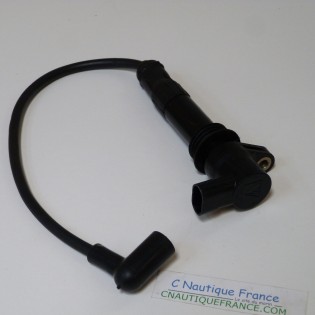 50 HP 2S IGNITION COIL SELVA BULL SHARK