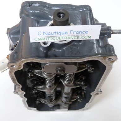 BF25 DELLA TESTATA 25 CV 4T HONDA ZV7