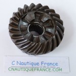 35 - 60 CV PIGNONE MERCURY 859101 43-859101