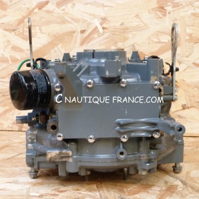 DF25 BLOCCO MOTORE 25 CV 4T V2 SUZUKI 95J V-TWIN
