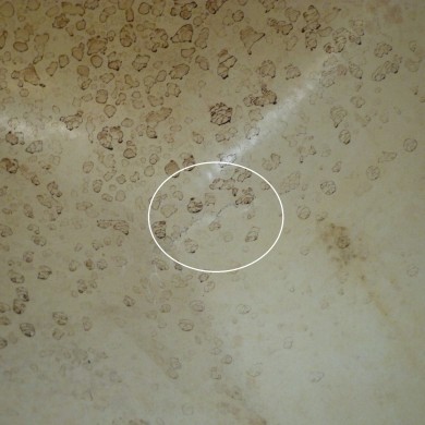 CALANDRA 50CV 4T YAMAHA F50 MOTORE FUORIBORDO