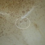 CALANDRA 50CV 4T YAMAHA F50 MOTORE FUORIBORDO