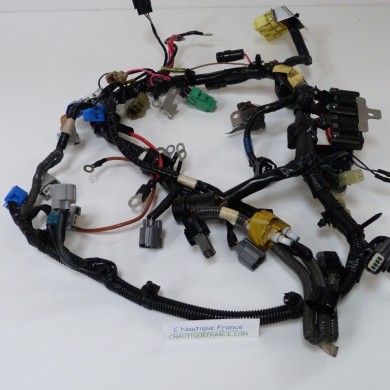 F50 F60 FAISCEAU ELECTRIQUE 50 - 60 CV 4T YAMAHA SELVA 6C5