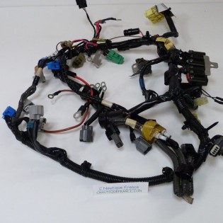 F50 F60 FAISCEAU ELECTRIQUE 50 - 60 CV 4T YAMAHA SELVA 6C5