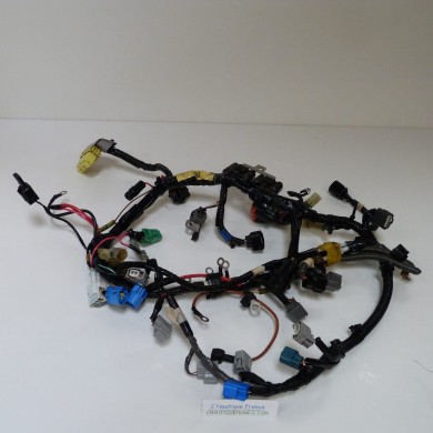 F50 F60 HARNESS 50 - 60 HP 4S YAMAHA SELVA 6C5