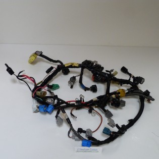 F50 F60 CABLAGGIO ELETTRICO 50 - 60 CV 4T YAMAHA SELVA 6C5