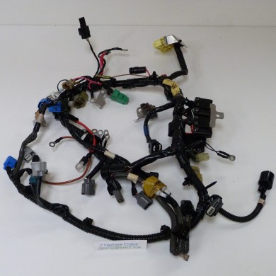 F50 F60 FAISCEAU ELECTRIQUE 50 - 60 CV 4T YAMAHA SELVA 6C5