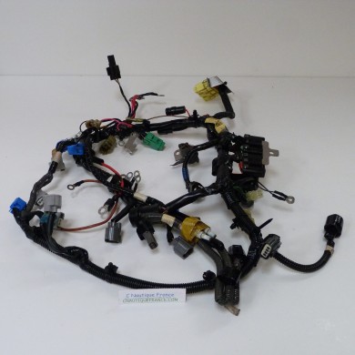 F50 F60 CABLAGGIO ELETTRICO 50 - 60 CV 4T YAMAHA SELVA 6C5