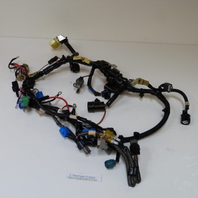 F50 F60 FAISCEAU ELECTRIQUE 50 - 60 CV 4T YAMAHA SELVA 6C5