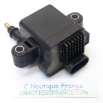 30 - 300 CV BOBINE MERCURY MARINER 879984