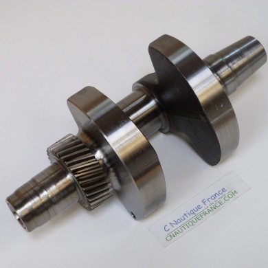 DF25 V-TWIN CRANKSHAFT 25 HP 4S SUZUKI 95J