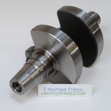 DF25 V-TWIN VILEBREQUIN 25 CV 4T SUZUKI 95J