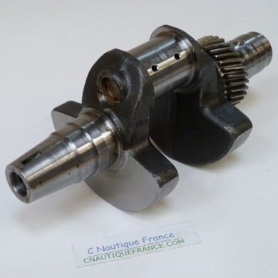 DF25 V-TWIN VILEBREQUIN 25 CV 4T SUZUKI 95J