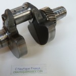 DF25 V-TWIN VILEBREQUIN 25 CV 4T SUZUKI 95J