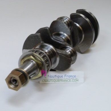 25 CV 4T VILEBREQUIN MERCURY F25E