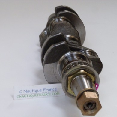 25 CV 4T VILEBREQUIN MERCURY F25E