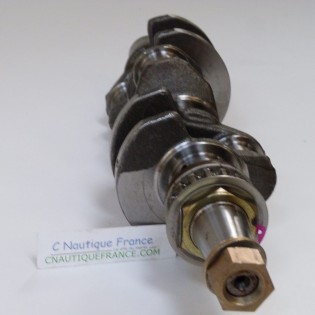 25 CV 4T VILEBREQUIN MERCURY F25E