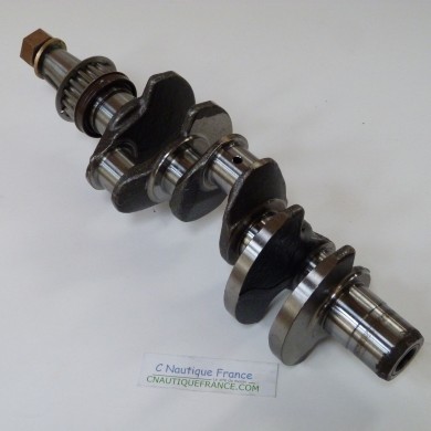 25 CV 4T VILEBREQUIN MERCURY F25E