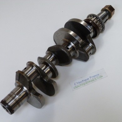 25 CV 4T VILEBREQUIN MERCURY F25E