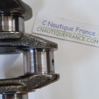 25 CV 4T VILEBREQUIN MERCURY F25E