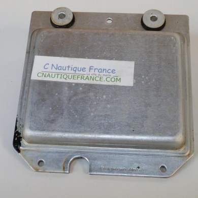 30 EFI ECM 30 HP MERCURY 891952