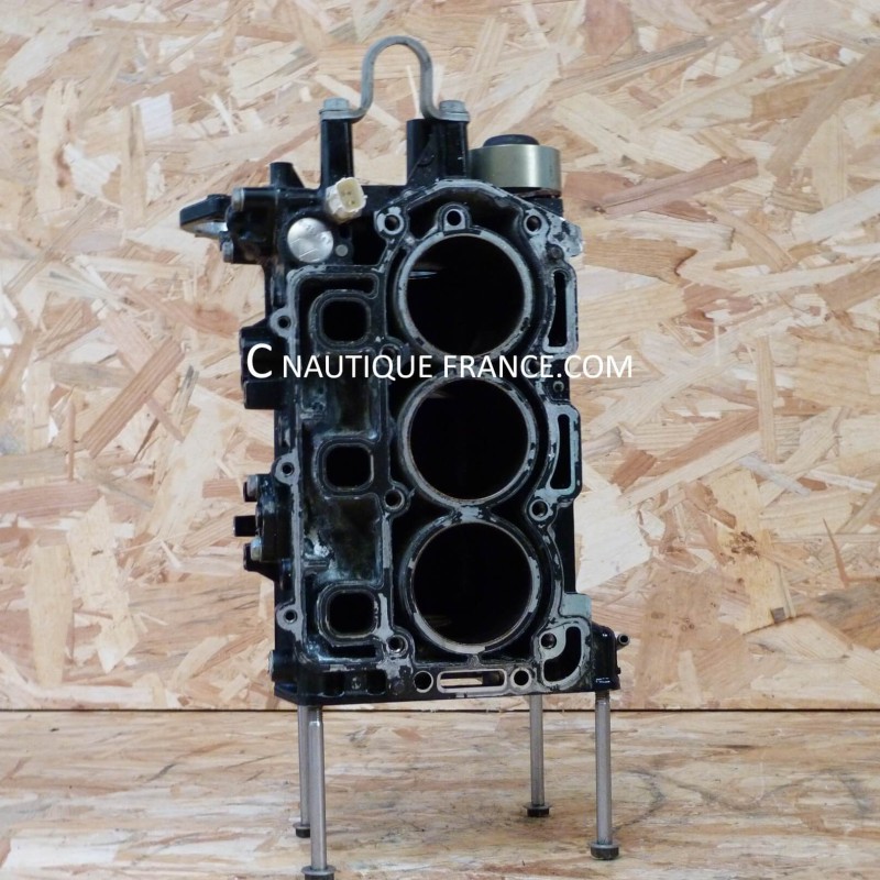 CYLINDER BLOCK 25 - 30 HP EFI MERCURY TOHATSU MARINER