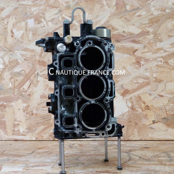 CYLINDER BLOCK 25 - 30 HP EFI MERCURY TOHATSU MARINER