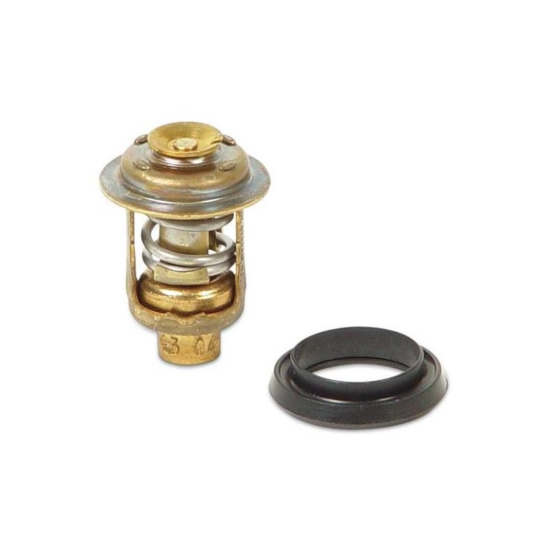 KIT THERMOSTAT 5 - 300 CV JOHNSON EVINRUDE
