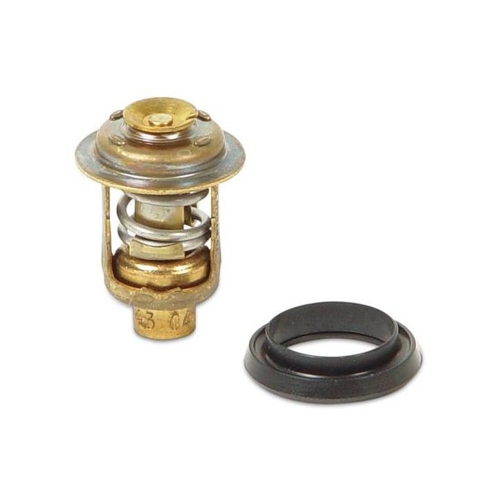 5 - 235 CV KIT TERMOSTATO PER JOHNSON MERCURY EVINRUDE