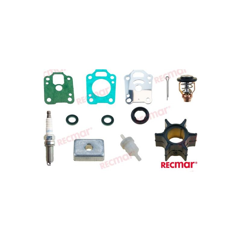 4 - 5 - 6 CV 4T KIT DI REVISIONE PER MERCURY