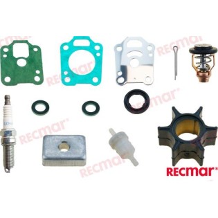 4 - 5 - 6 CV 4T KIT DI REVISIONE PER MERCURY