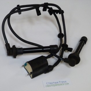 BF115 BF130 COIL115 - 130 HP HONDA ZW5